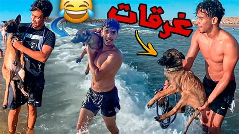 أول مرة كلبتي تسبح في البحر ،و هذا ما حدث😂my Dog In The Beach 🏖 Youtube