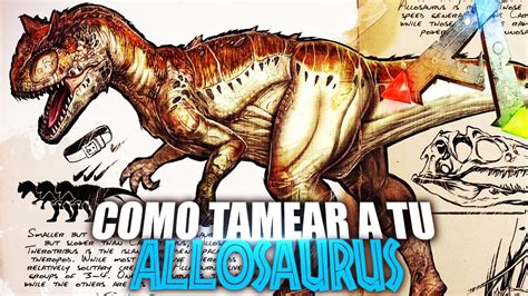 Como Tamear A Tu Allosaurus Guia Español Ark Survival Evolved