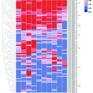 The Relative Expression Level Of Os2R MYB Genes In Various Tissues And