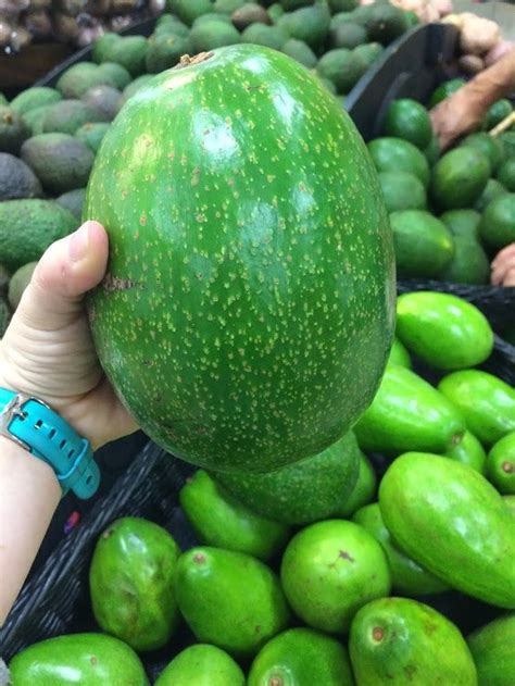 Colombian Avocados Are Huge Food