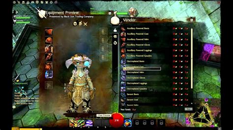 Asura Level 80 Armor Tier 3 Male Youtube