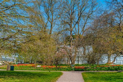 Botanical Garden in Swedish Town Lund Stock Image - Image of nature ...