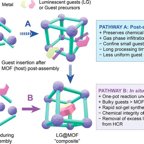 Schematics Illustrating The Synthetic Pathways Of The LG MOF Composite