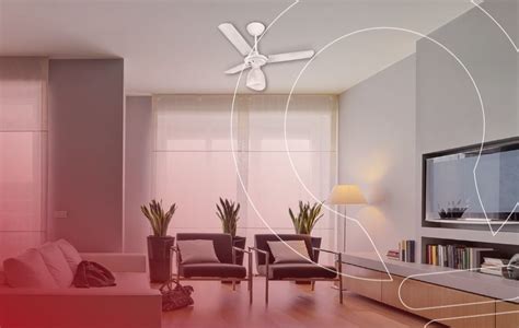 Climatizador Ou Ventilador Qual O Melhor - Ventilador ou climatizador: qual é o melhor?