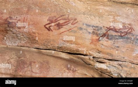 173 Australian Aboriginal Rock Art Mimi Spirits Paintings Ubirr Site