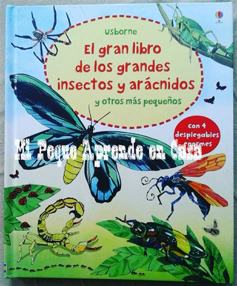 Mi Peque Aprende En Casa Hoy Leemos El Gran Libro De Los Grandes