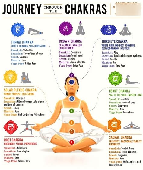 Solar Plexus Location In The Body