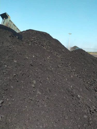 Indonesian Steam Size Coal Mm To Mm For Industrial At Rs In Morbi