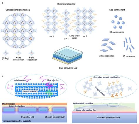 Focus On Perovskite Emitters In Blue Lightemitting Diodes