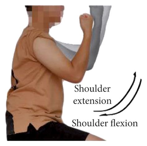 Upper Limb Motions A Elbow Flexion And Extension B Shoulder Download Scientific Diagram