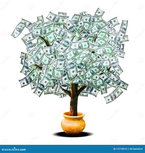 Árbol del dinero foto de archivo Imagen de banca efectivo 13719610