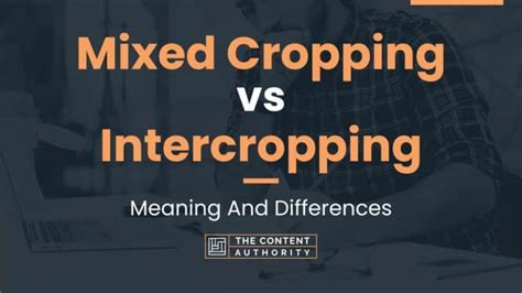 Mixed Cropping vs Intercropping: Meaning And Differences