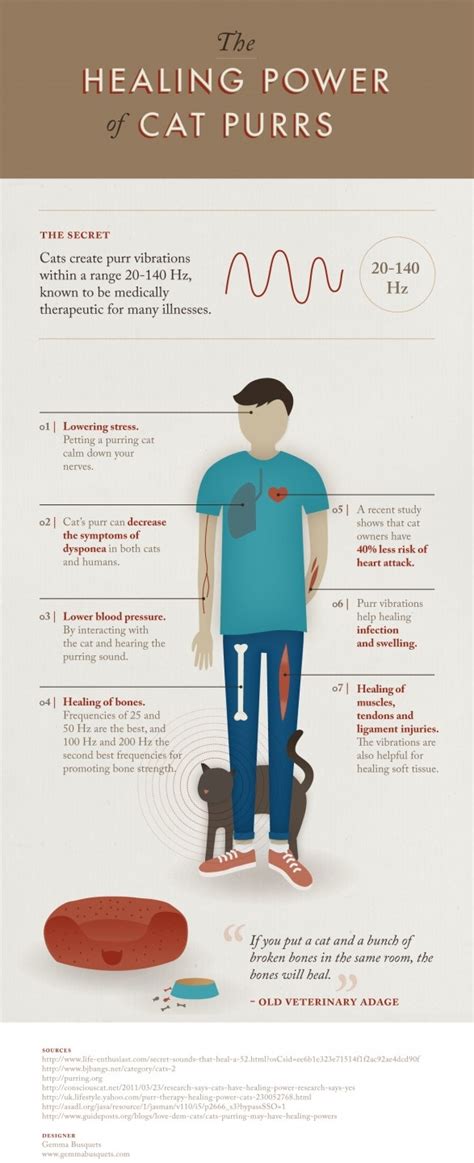 Infographic The Healing Power Of Cat Purrs Infographic A Day