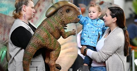 Dinosaurs To Inhabit Santa Maria Fairpark During Adventurous Immersive