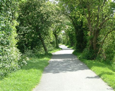 Green Path Free Photo Download Freeimages