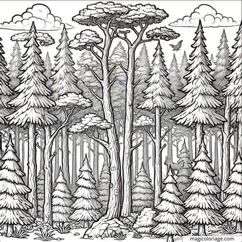 Coloriage Paysage Forestier