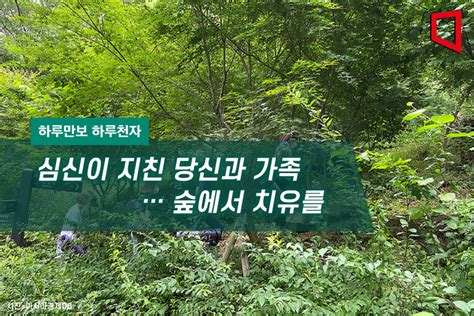 [하루만보 하루천자]심신이 지친 당신과 가족…숲에서 치유를 아시아경제