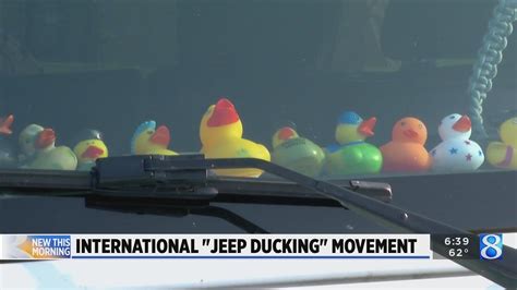 Ducks On The Dash Jeep Ducking Continues To Grow In Popularity Youtube