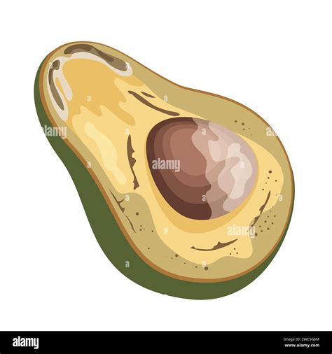 Spoiled Avocado Fruit Rotten Food Product Organic Food Waste Cartoon