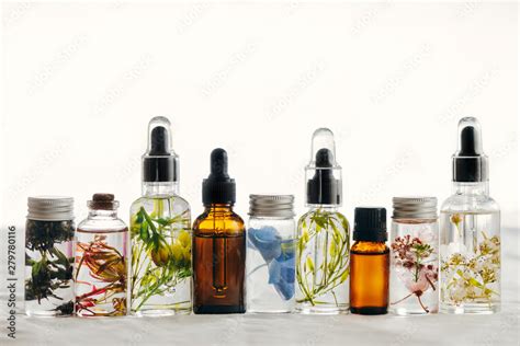 Transparent Bottles Of Essential Oil With Fresh Herbs Stock Photo