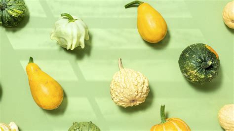 Learn All About Common Types Of Squash Including Popular Winter Squash