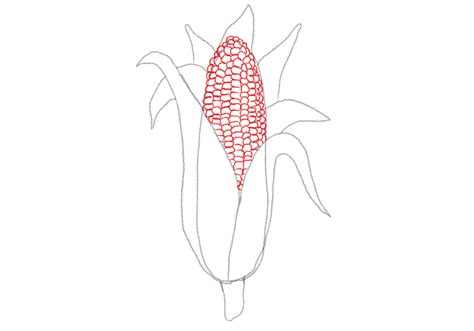 How To Draw Corn Design School