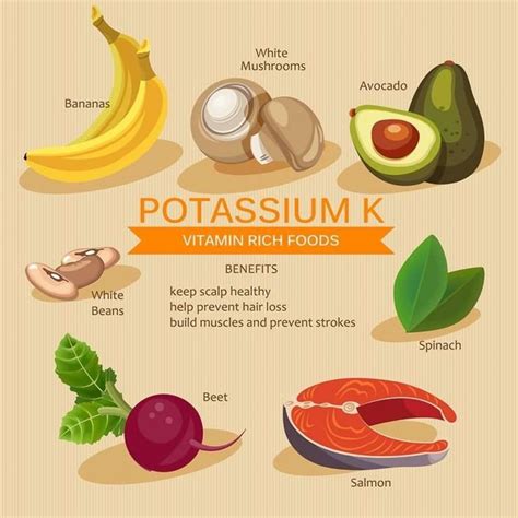 Pin By Bijay Craig On Health Benefits Potassium Rich Foods Vitamin Rich Foods Healthy Beans