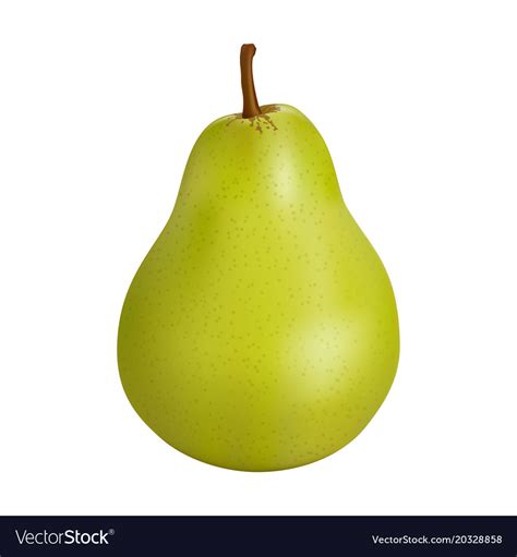 Green Pear On A White Background Royalty Free Vector Image