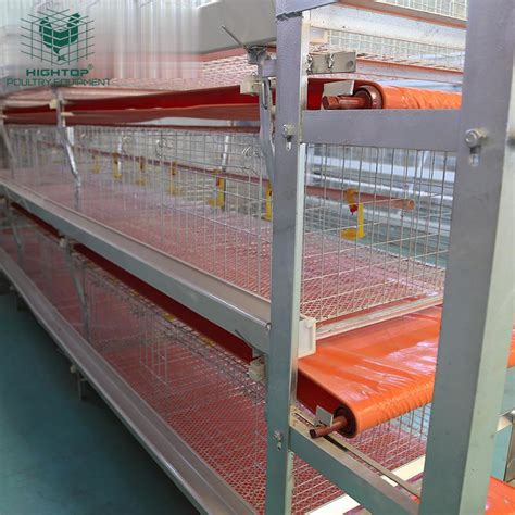 China Poultry Farm H Type Hot Dip Galvanized Broiler Battery Cage