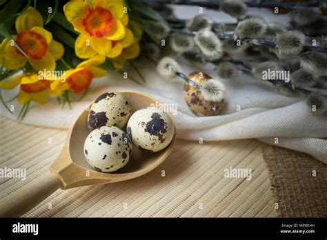 Easter Bouquet Holiday Decoration Pussy Willow And Easter Eggs Of Quail Stock Photo Alamy