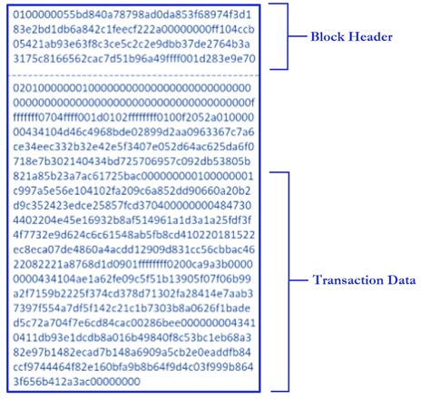 What Are The Components Of The Raw Block Shown In This Image Bitcoin