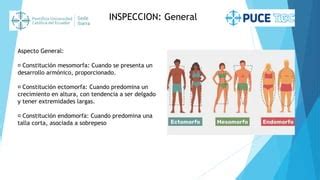 Examen Fisico Enfermeria Del Paciente Cefalocaudal Ppt