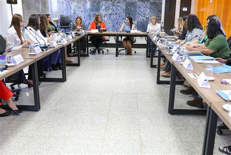 Comit Do Plano Distrital De Pol Ticas Para Mulheres Faz Alinhamento