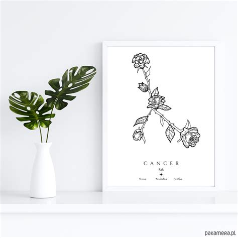 Plakat Znaki Zodiaku Rak Cancer Kwiatowa Konstelacja Gwiazd