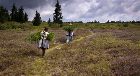 Contact The Nature Conservancys Appalachians Staff