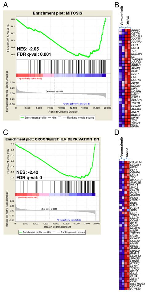 Enrichment Plots And Heat Maps Of Selected Gene Sets Detected By GSEA