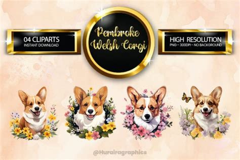 Pembroke Welsh Corgi Clipart Bundle Graphic By Hurairagraphics