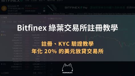 Bitfinex綠葉交易所註冊、kyc驗證教學（年化20的美元放貸交易所） 呢喃貓投資murmurcats