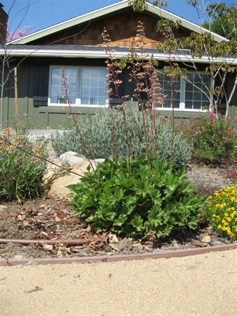 Tustin California Nativefriendly Front Yard Mediterráneo Jardín Orange County De