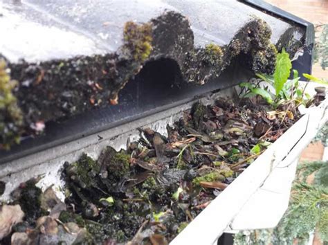 Shropshire Gutter Cleaning Emptying And Unblocking Services