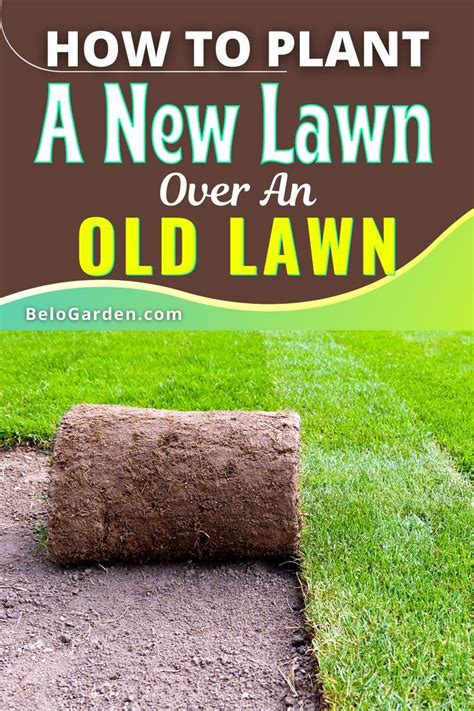 How To Plant A New Lawn Over An Old Lawn Lawn And Landscape Lawn Diy Raised Garden