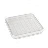 D210 16 Square Petri Dish With Grid Simport