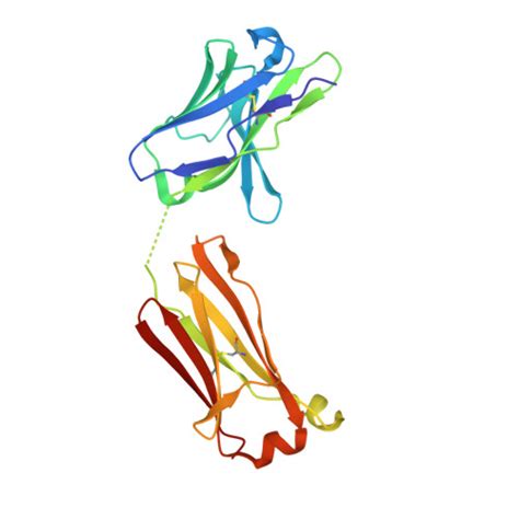 RCSB PDB 1JNH Crystal Structure Of Fab Estradiol Complexes