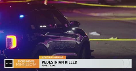 Driver Arrested After Allegedly Fatally Striking Pedestrian In Forest