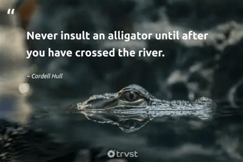 20 Alligator Quotes Revealing Power And Wisdom