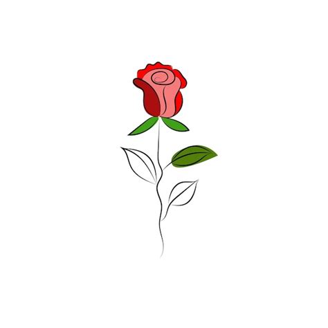 Una Rosa Roja Con Hojas Verdes Sobre Un Fondo Blanco Vector Premium