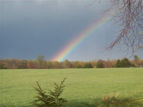 Life in the Country – Darby Farm