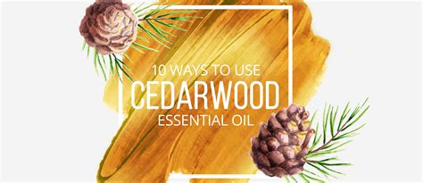 10 Ways To Use Cedarwood Essential Oil Lindsey Elmore