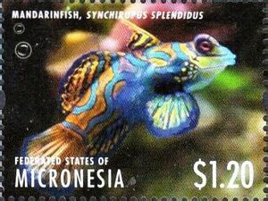 Stamp Mandarinfish Synchiropus Splendidus Micronesia Federated