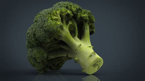 3d Model Broccoli Vr Ar Low Poly Cgtrader